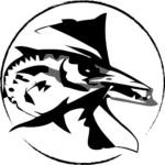 CST logo old