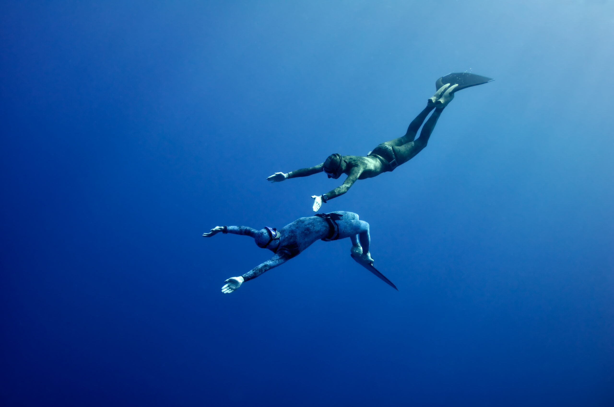 Free Divers