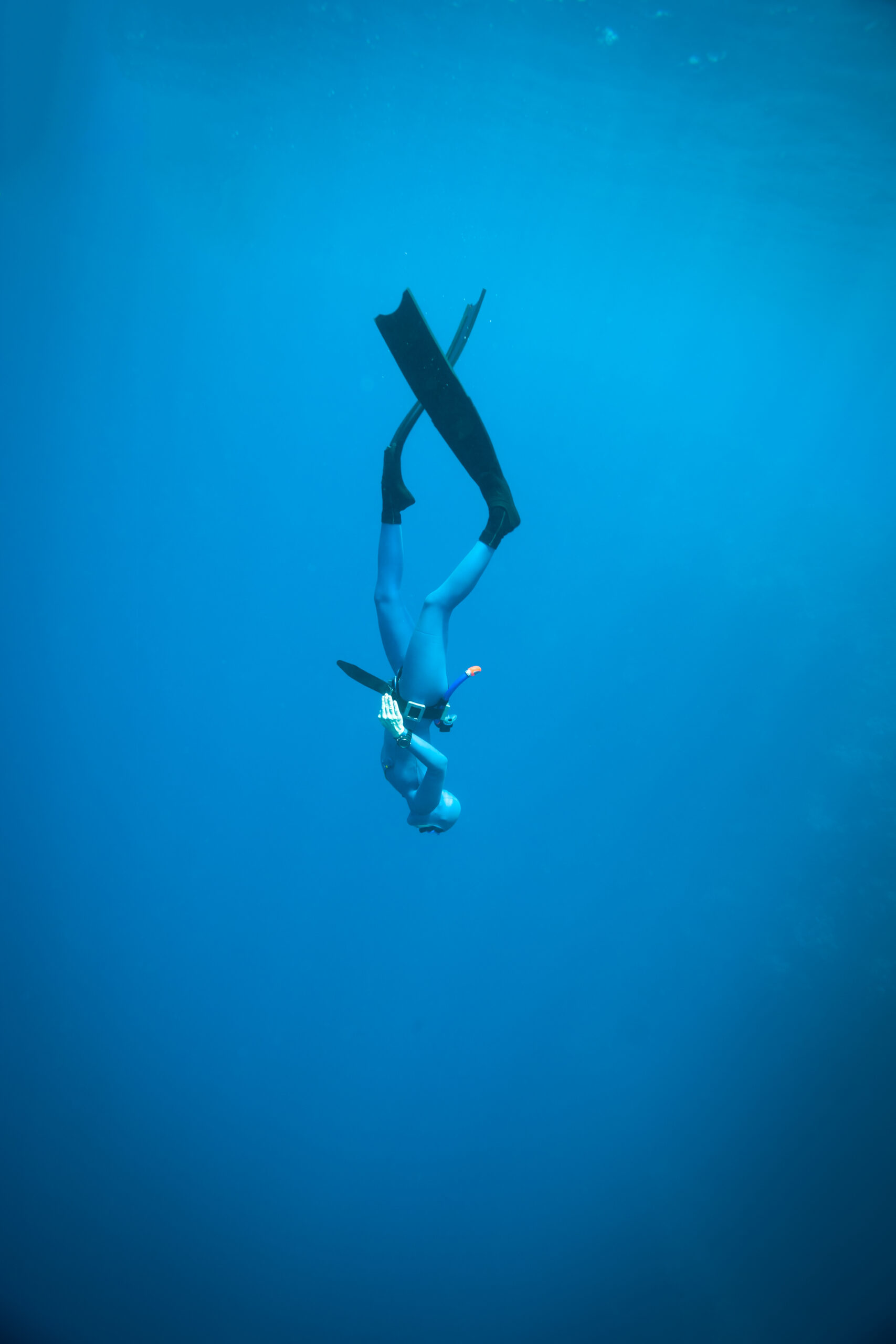 Free Dive