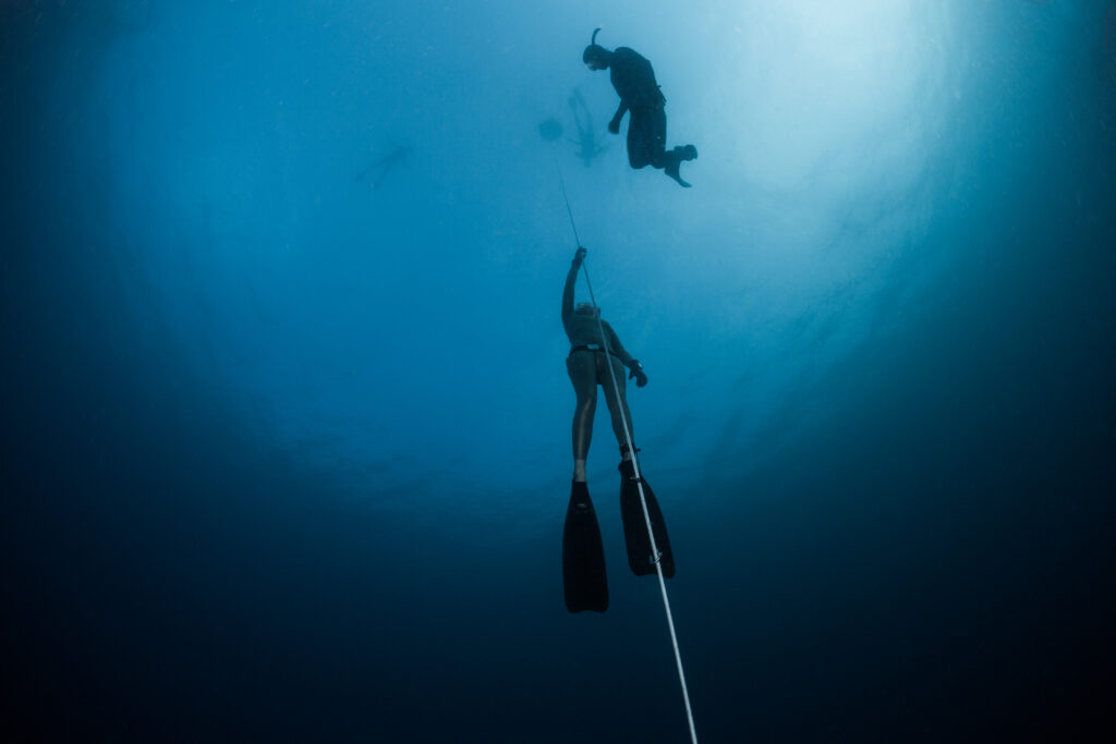 Apnea Free Dive