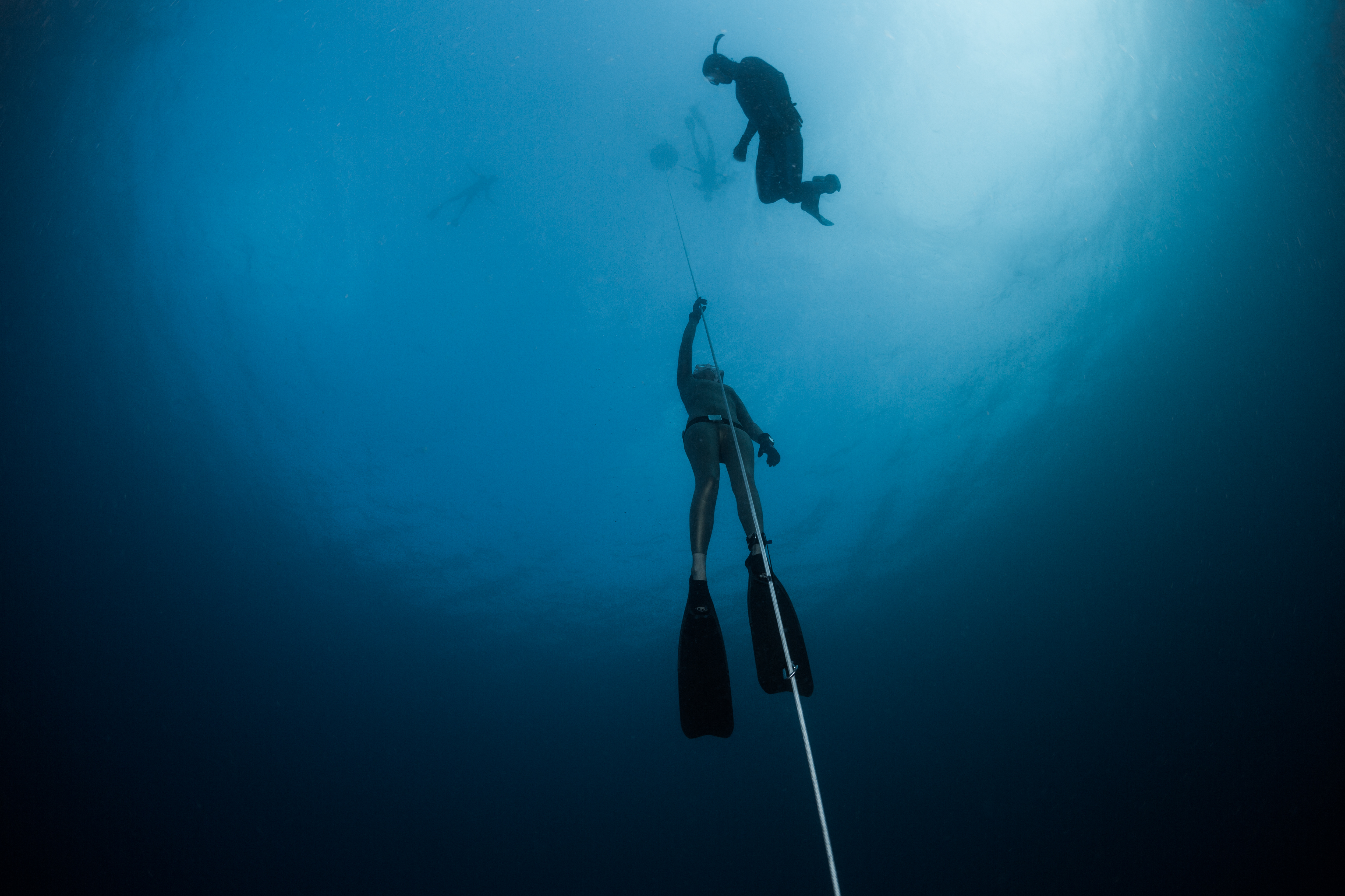 Apnea Free Dive