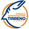 cropped-cstlogo.png