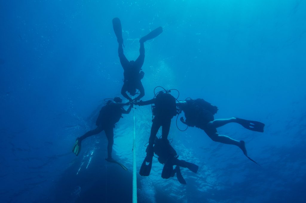 P3 - Immersione Profonda